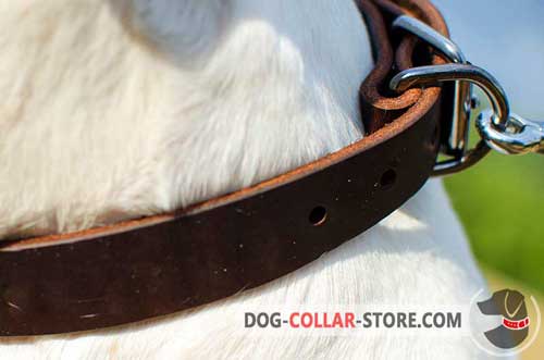 Reliable Nickel-Plated D-Ring on Classic Leather Dog Collar