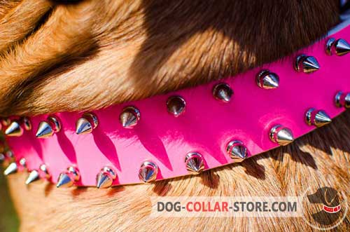 2 Rows of Fashionable Spikes on Dog Collar