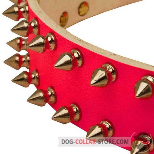 Nickel Plated Spikes on Pink Leather Dog Collar