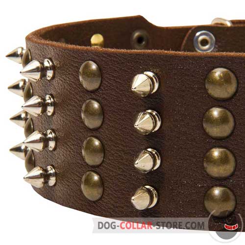 Decorations on Leather Dog Collar