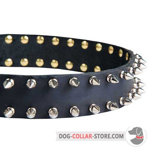 Decorations on Leather Dog Collar