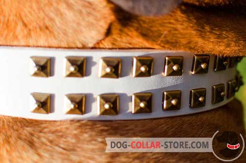 Fashionable Old Nickel Studs on White Leather Dog Collar
