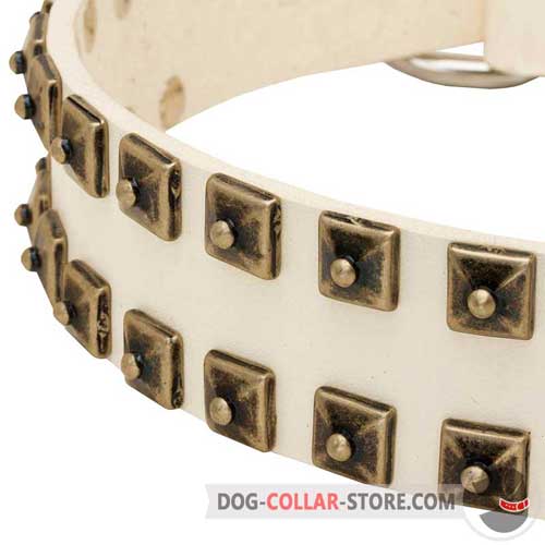 Hand-Set Studs on Fashion White Walking Leather Dog Collar