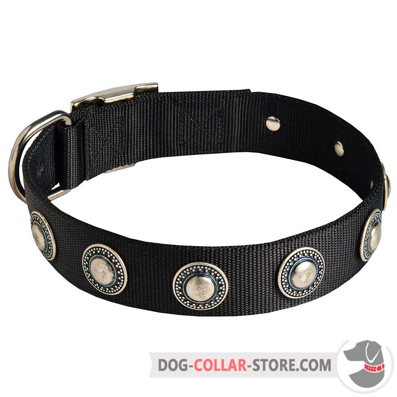 Ferragamo dog collar outlet