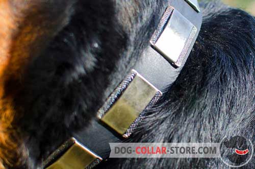 Reliable Nickel Plates on Vintage Leather Dog Collar