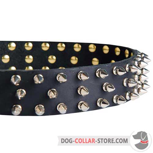 Nickel Plated Spikes on Leather Dog Collar