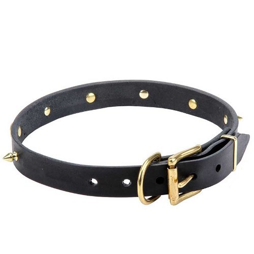 Leather Dog Collar brass hardware