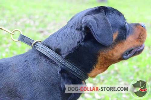 Braided Leather Rottweiler Choke Collar for Daily Walking and Training