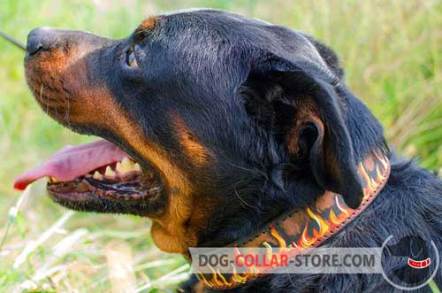 Handmade Leather Rottweiler Collar With Painting for Stylish Walking