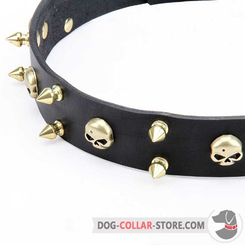 Leather Dog Collar with nickel-plated furniture