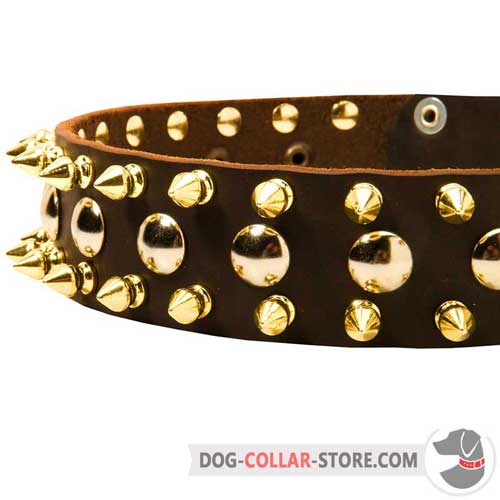 Decorations on Leather Dog Collar