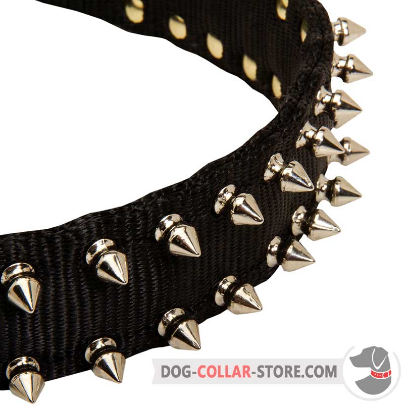 spike dog collar greyhound