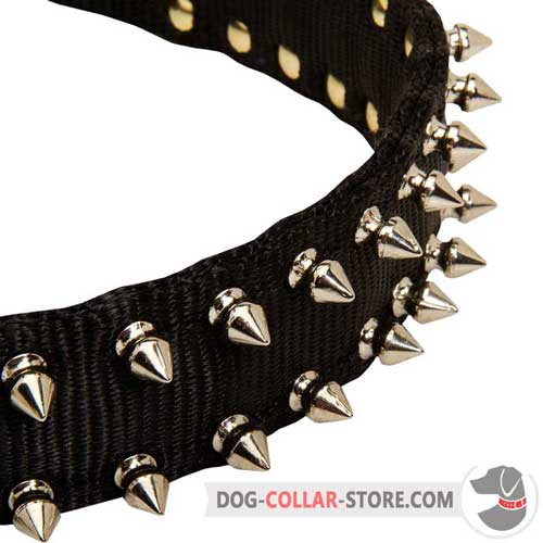 Nickel Spikes on Nylon Dog Collar