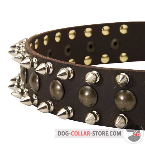 Designer Studs and Spikes on Decorated Leather Dog Collar