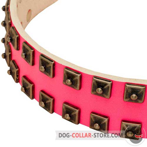 Old Nickel Studs with Rivets on Glamorous Pink Walking Leather Dog Collar
