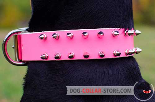 Fashionable Nickel Spikes On Pink Leather Dog Collar