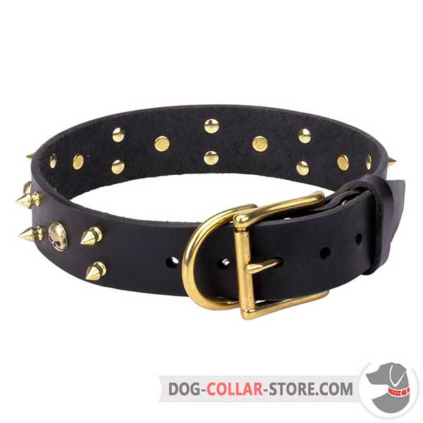 Leather Collar for Dog Walking, brass decorations