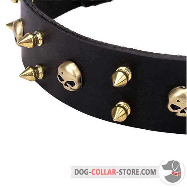 Everyday Dog Walking Leather Collar with exclusive adornment