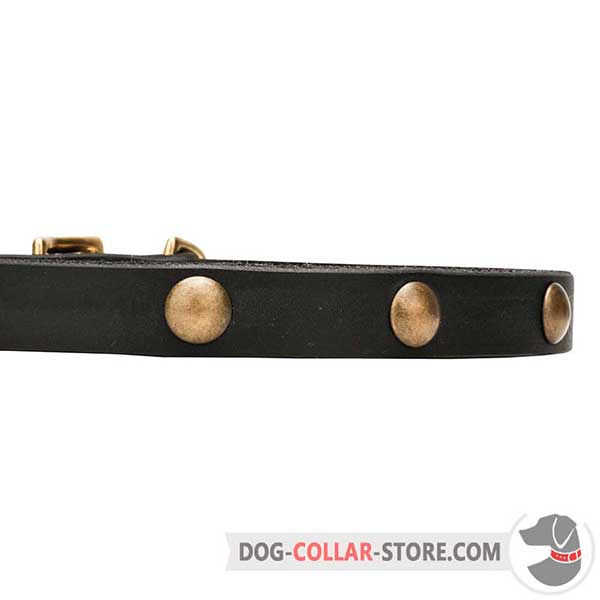 Half-Ball Studs on Dog Collar