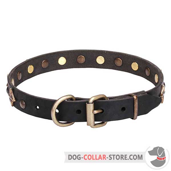 Dog Collar with brass hardware