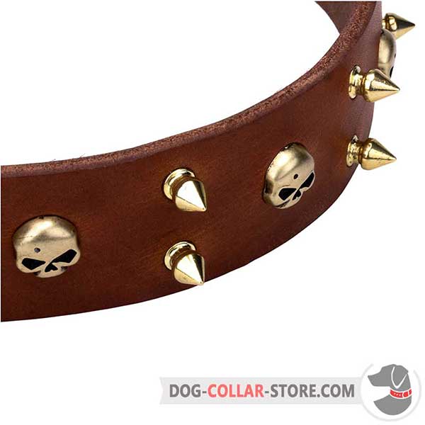 Leather Dog Collar with brass hardware