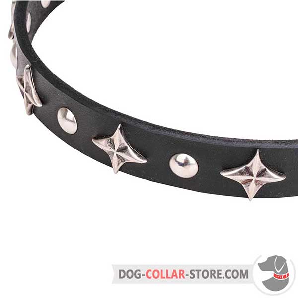 Stars and Studs on Dog Collar