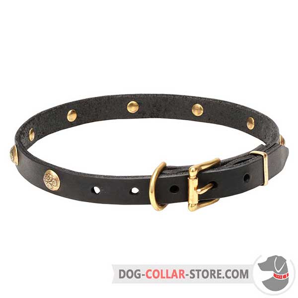 Dog Collar: riveted brass-plated hardware