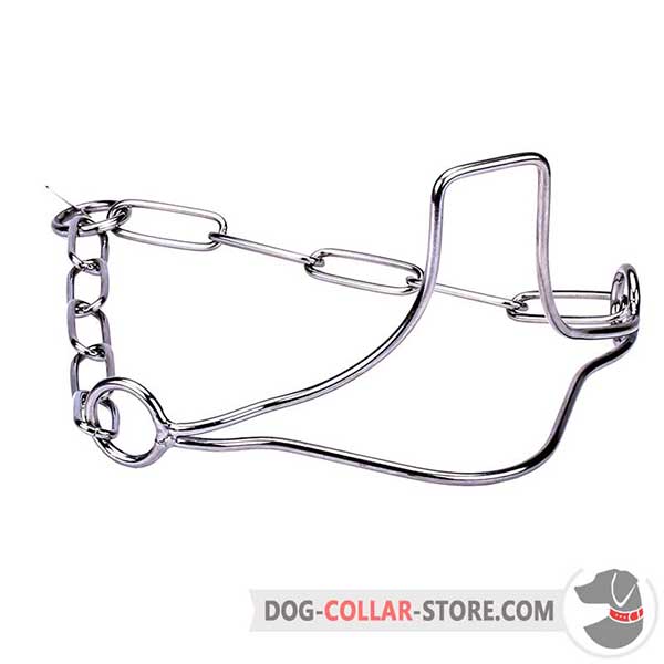 Dog metal collar for shows