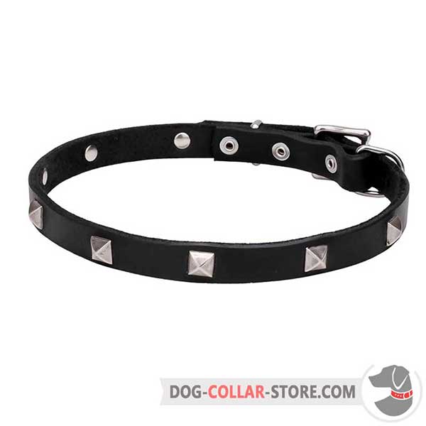 Dog Collar decorated with shiny pyramids