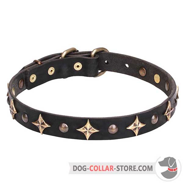 Leather Collar for handling medium breeds