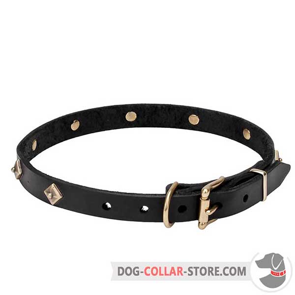 Dog Collar, brass hardware