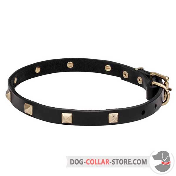 Dog Collar decorated with decorative pyramids