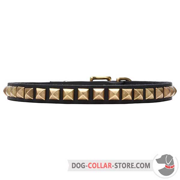 Lovely Dog Collar, brass plated pyramids
