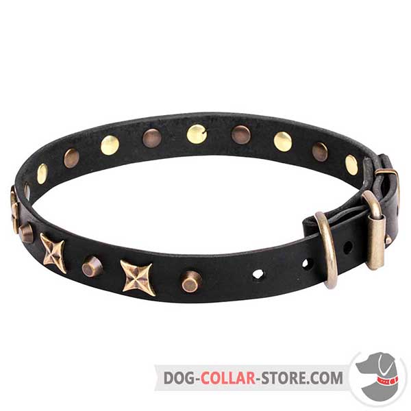 Leather Collar with decorative stars and cones