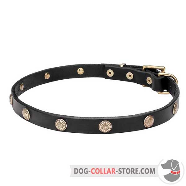 Dog Collar decorated with engraved studs