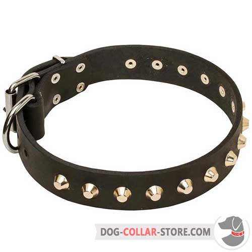 Dog Leather Collar with exclusive decorations