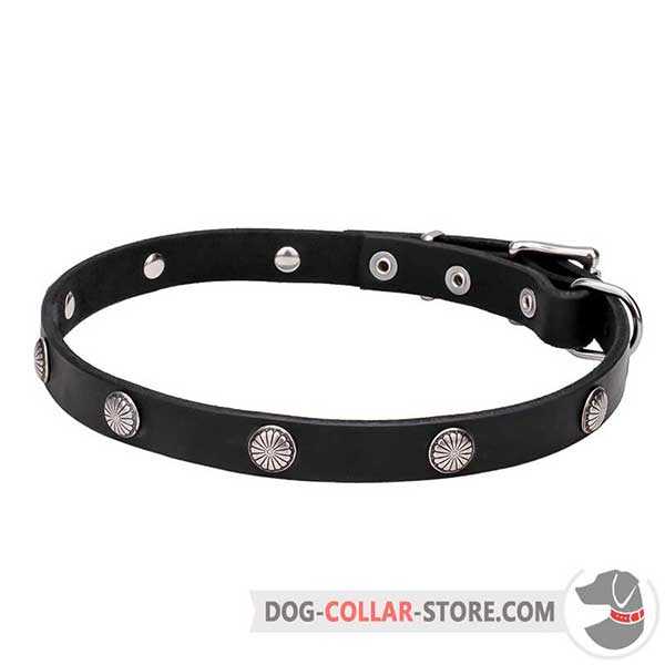Dog Collar with riveted engraved studs
