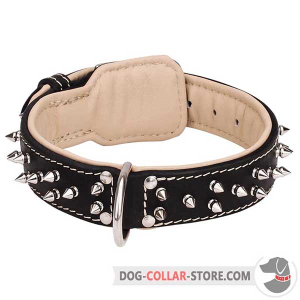 Spiked Padded Leather Dog Collar with Reliable D-ring