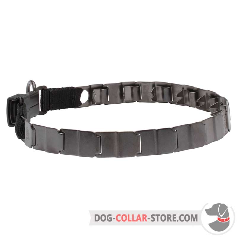 steel dog collar
