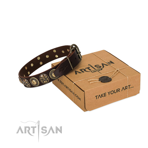 Corrosion resistant adornments on dog collar for walking
