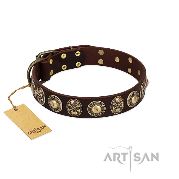 Awesome leather dog collar for daily walking
