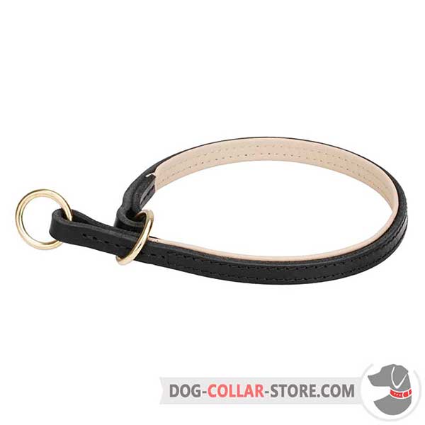 Dog Choke Collar with Brass-Plated Rings