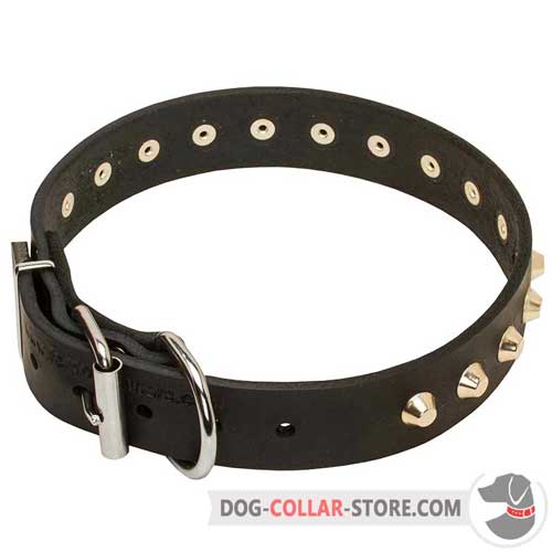 Leather Dog Collar with nickel-plated hardware