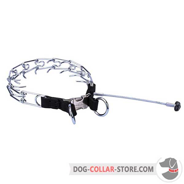 Dog pinch collar made of chrome-plated steel