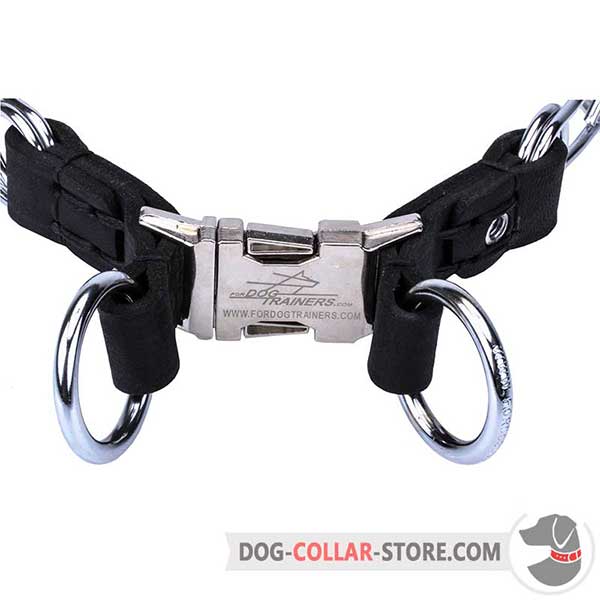 Metal buckle of dog prong collar