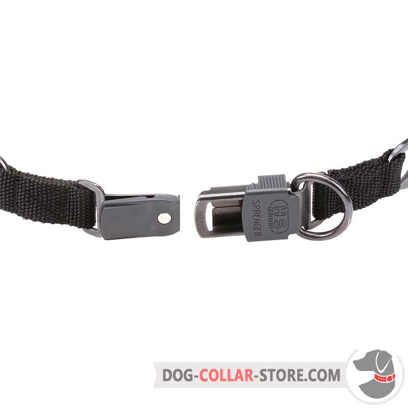 Dog Pinch Collar with Click Lock Buckle Dog Prong Collar