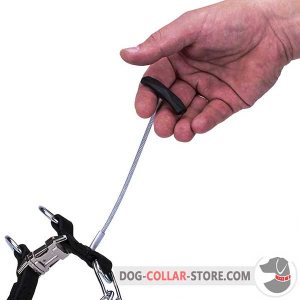 Metal handle on dog prong collar