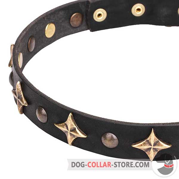 Stars and Studs on Dog Collar