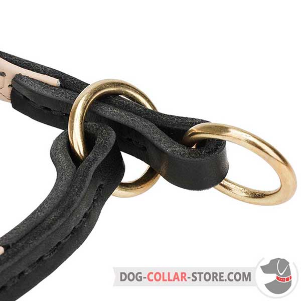 Dog Choke Collar: brass-plated rings