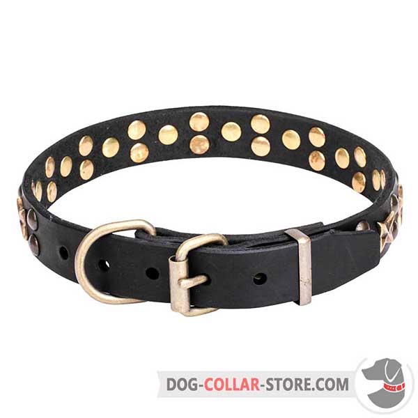 Dog Collar with brass plated hardware